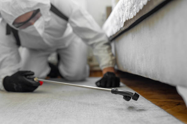Professional Bed Bug Control technician working in Grandview, OK