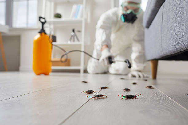 Trusted Cockroach Control service in Grandview, OK - Nex Pest Control